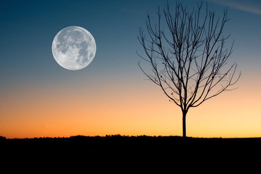 Moon above the horizon