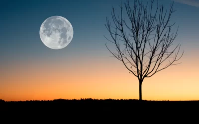 How Rare Is Full Moon On Halloween Day?